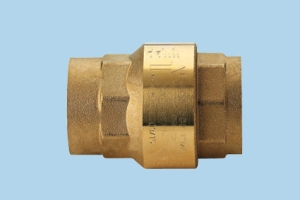 check-valve-100012-lf.png
