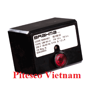 eurobox-ds11p-dsm11p-brahma-ignition-and-control-flame-devices-brahma-brahma-vietnam.png